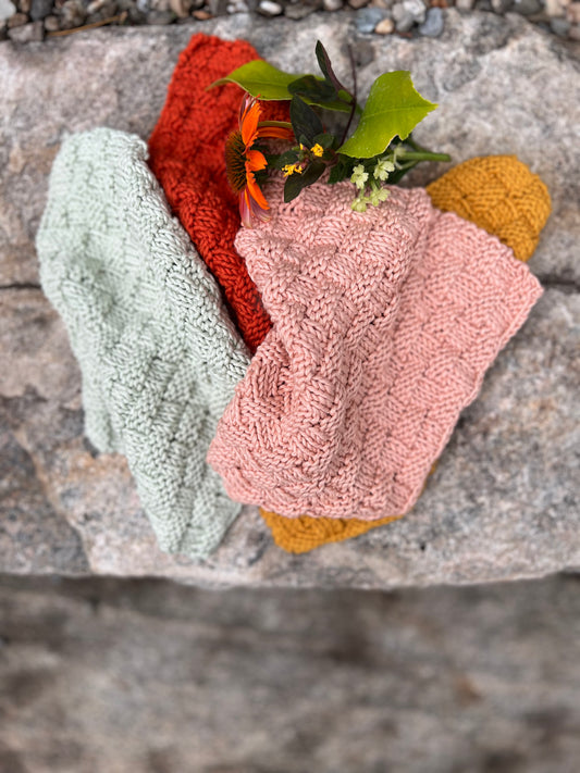 Basket Weave Dishcloth Tomato