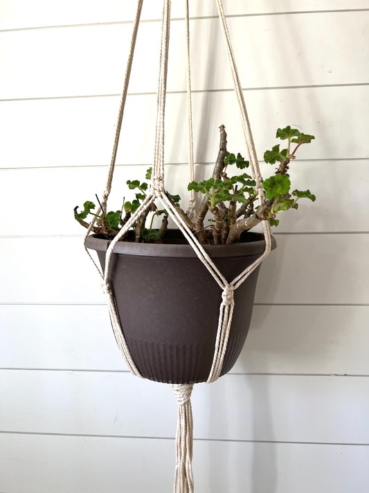 Macrame Planter