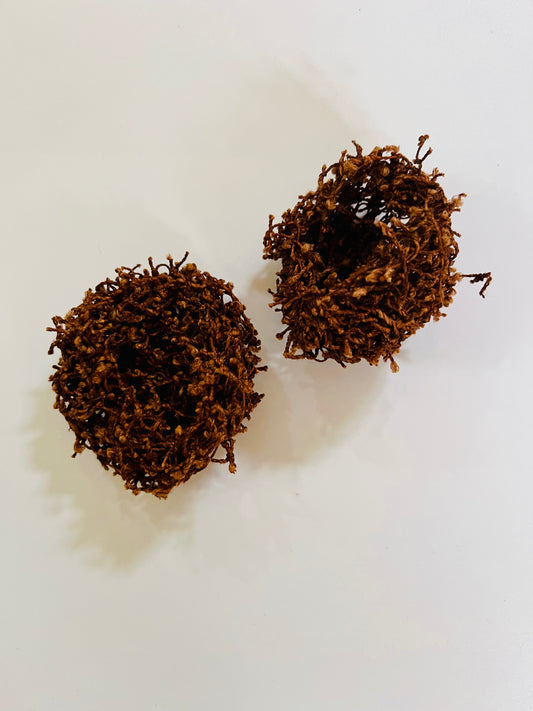 Twig Nest