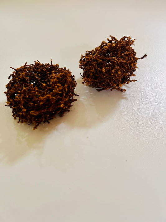 Twig Nest
